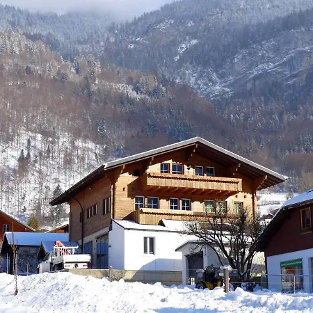 Oltschiblick By Interhome Appartement Brienzwiler