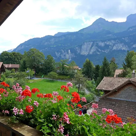 Oltschiblick By Interhome Appartement Brienzwiler