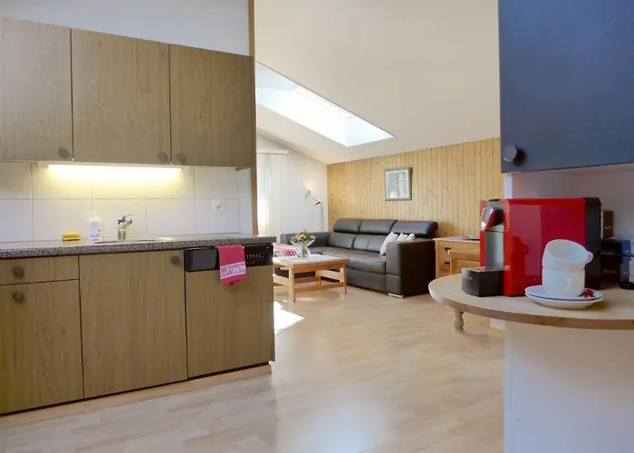 Oltschiblick By Interhome * Brienzwiler